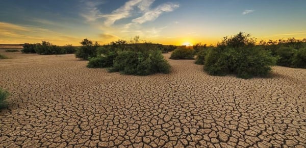 FAO: Το νότιο τμήμα της Αφρικής απειλείται από έλλειψη σιτηρών λόγω ξηρασίας