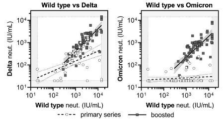 269411268 4670121893027060 8035072773226416172 n