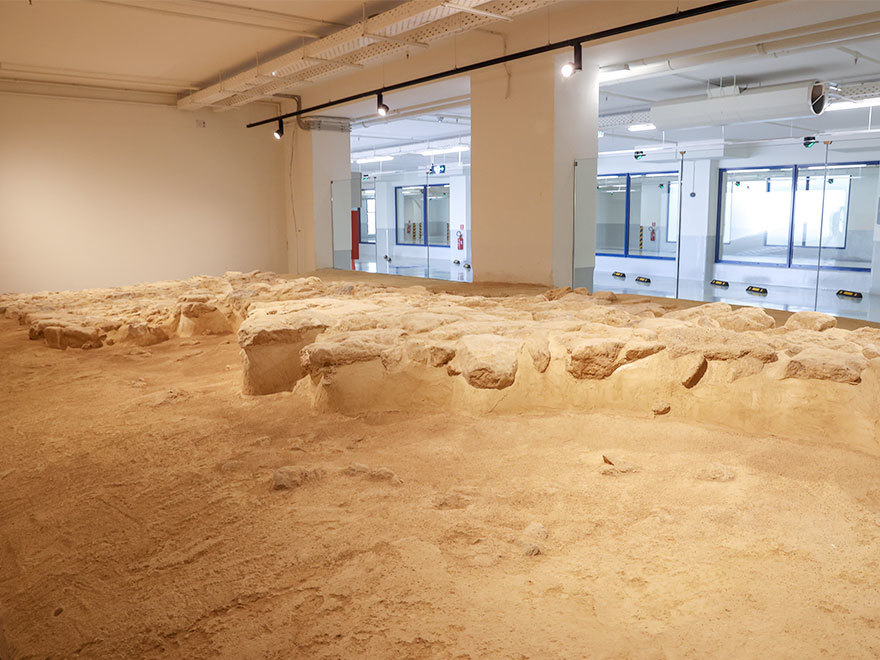 Lidl Μεσαμπελιές 3