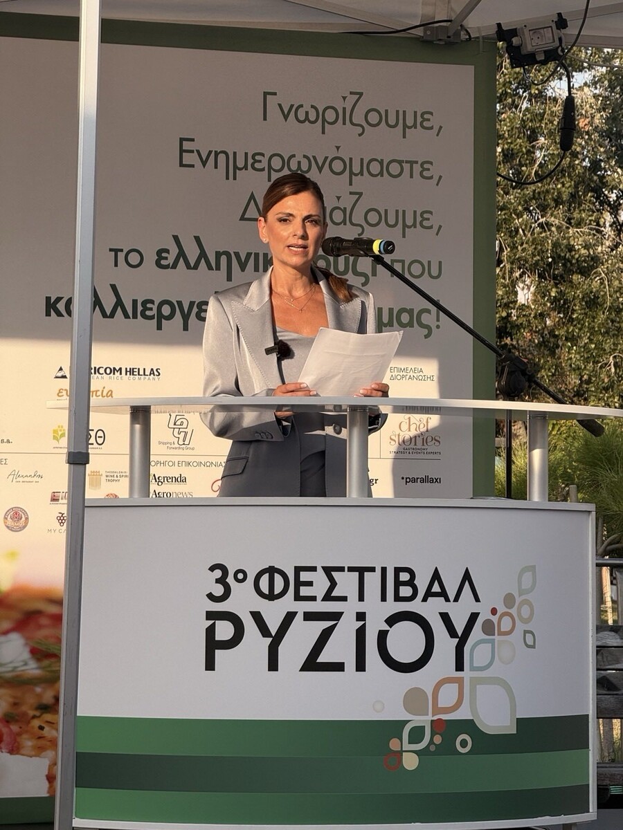 κωστηνάκη_γεωργία_πρόεδρος_σοε_471d198ea29c25a0.jpg