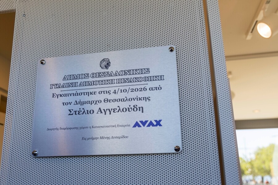 avax_gyalini_pinakothiki_thessaloniki_04_002_d1831ccd75cdaae2.jpg