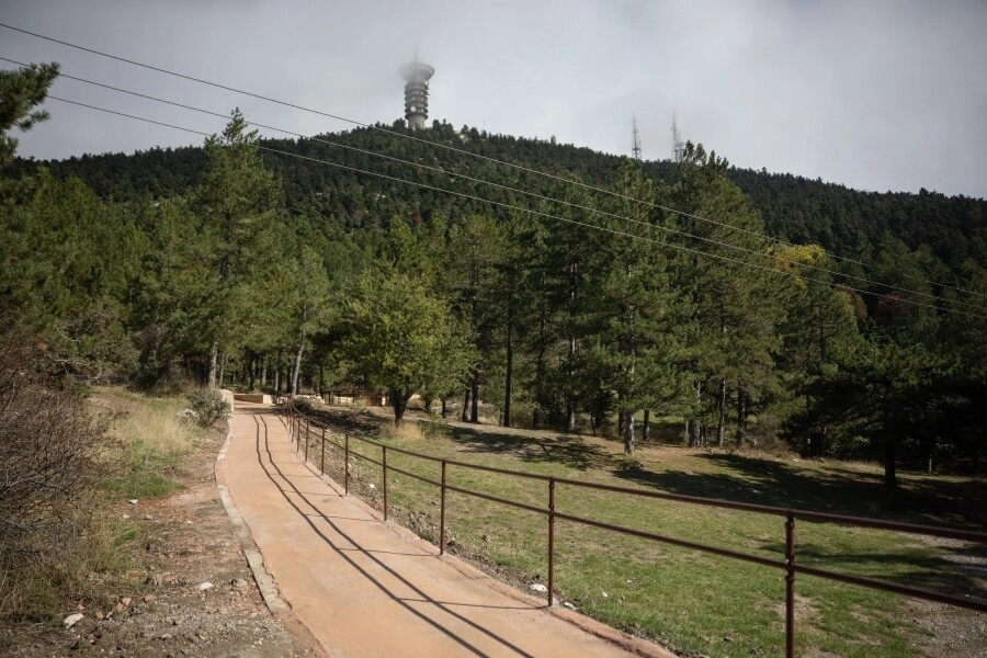 kf-mονοπάτι-προσβασιμότητας-1_61d87d3a5c43b50f.jpg