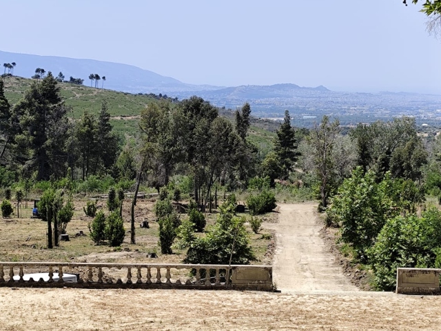 Άποψη των ανακτορικών κήπων