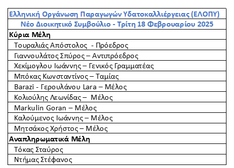 Στιγμιότυπο οθόνης 2025 02 21 134014