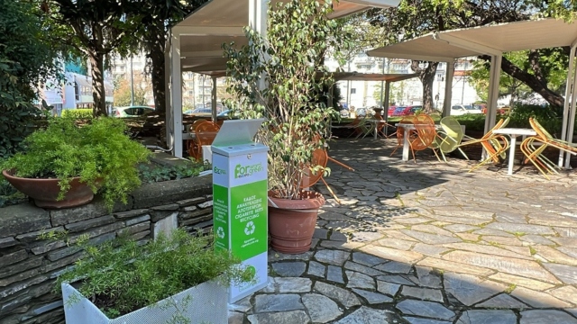 φωτογραφία κάδοι δεθ 2 1