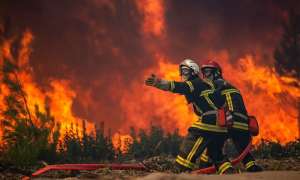 Πυρκαγιά στη νότια Γαλλία - Απομακρύνονται κάτοικοι και παραθεριστές