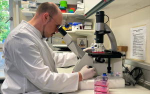 Βέλγιο: Υποχρεωτική καραντίνα 21 ημερών στα κρούσματα ευλογιάς των πιθήκων