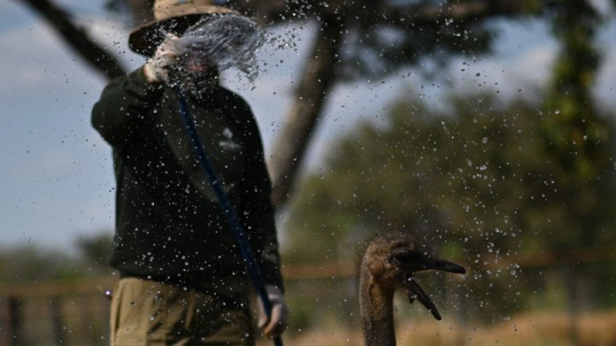 Βραζιλία: Κύμα καύσωνα πλήττει τη χώρα στη μέση του χειμώνα