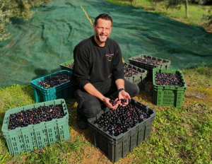 Κτήμα Τζόρβα: Η ζωή στο χωράφι για τον πρώην τερματοφύλακα του Παναθηναϊκού και της Εθνικής Ελλάδος
