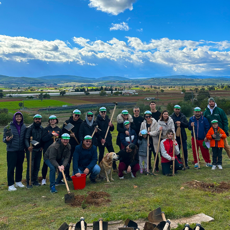 PressiousArvanitidis: Δενδροφύτευση στη Βοιωτία