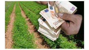 ΕΛΣΤΑΤ: Αύξηση 30,6% στα αγροτικά εισοδήματα τον Ιούνιο 2023