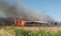 ΕΛΓΑ: Καταβλήθηκαν 1,2 εκατ. ευρώ σε 441 δικαιούχους για τις ζημιές από πυρκαγιές του 2022