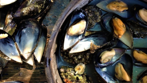 Μακρύγιαλος Πιερίας: Η ζωή στη μεγαλύτερη μυδοπαραγωγό περιοχή της Ελλάδας πριν την Καθαρά Δευτέρα