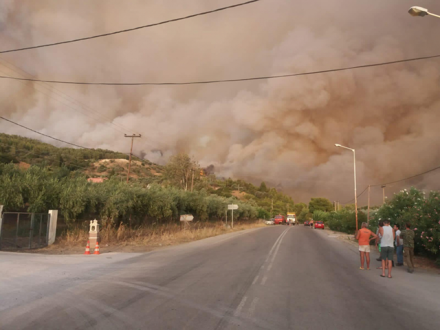 Εύβοια: Επιπλέον ενέργειες στήριξης - εκκίνηση των διαδικασιών "πράσινου" δανεισμού