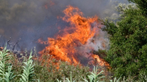 Κύπρος: Μεγάλη πυρκαγιά καίει ανεξέλεγκτη στα βόρεια της Λεμεσού - Αίτημα συνδρομής σε γειτονικά κράτη και την ΕΕ