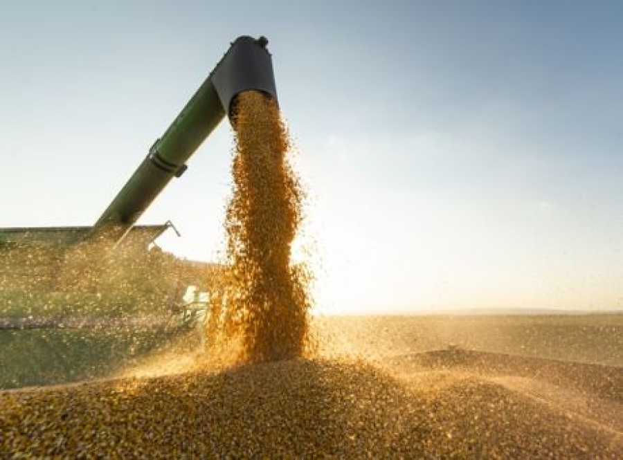 Καταστράφηκαν 270.000 τόνοι σιτηρών από τις ρωσικές επιθέσεις μέσα σε έναν μήνα