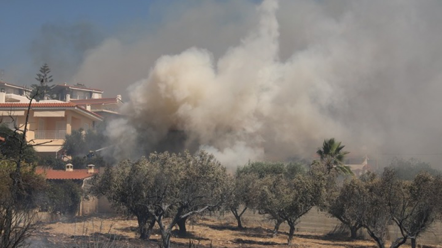 Ξεκινά η καταμέτρηση της ζημιάς από τη φωτιά στην Παλαιά Φώκαια