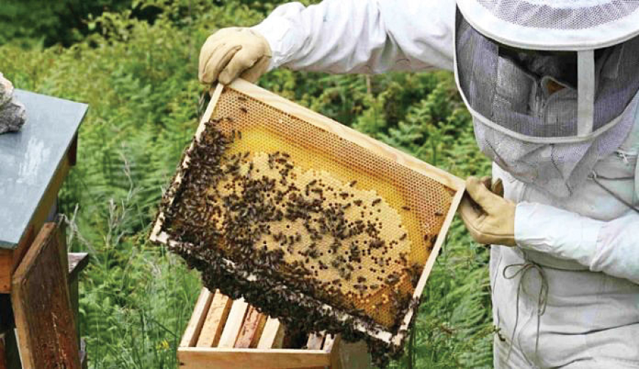 Συνάντηση ΥπΑΑΤ με την Ομοσπονδία Μελισσοκομικών Συλλόγων Ελλάδας