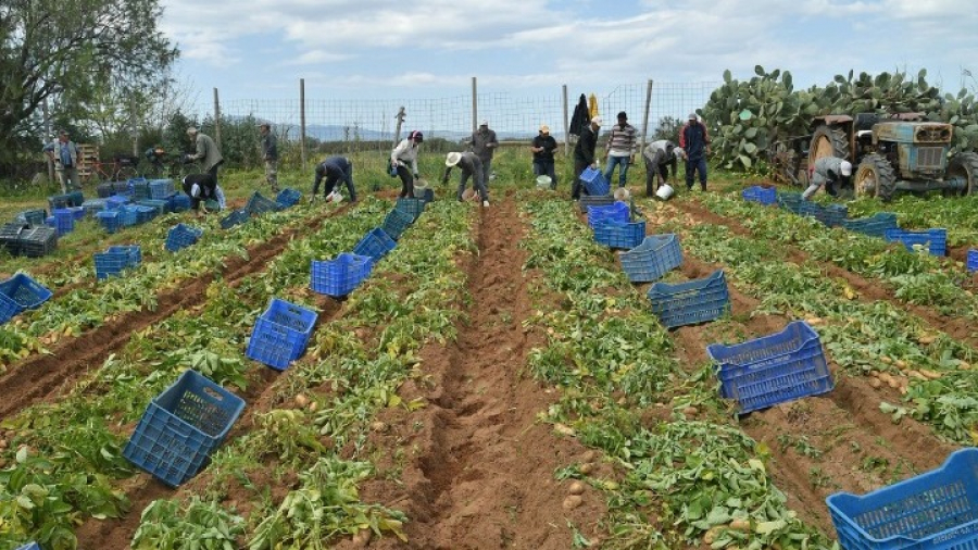 "Νέοι Γεωργοί": Ανοίγει η πλατφόρμα του προγράμματος, προϋπολογισμού 420 εκατ. ευρώ