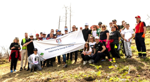 AHEPA: Δενδροφύτευση 45 στρεμμάτων δάσους στην Ιστιαία Εύβοιας