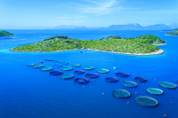 AVRAMAR: Ένας ηγετικός όμιλος με μεσογειακή αύρα