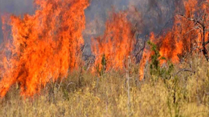 Τι προβλέπει ο χάρτης επικινδυνότητας για τις πυρκαγιές το Σάββατο