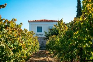 Το Κτήμα Αβαντίς στο χαρτοφυλάκιο Oenothèque της ΑΜΒΥΞ