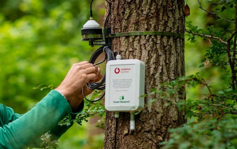 H Vodafone υλοποιεί την πρωτοβουλία Smart Forest