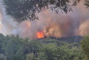 Θεσσαλονίκη: Φωτιά έξω από το χωριό Λοφίσκος