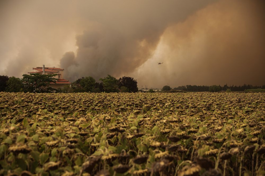 Βόρεια Εύβοια: Απειλούνται τα χωριά Γαλατσώνα, Αβγαριά, Ασμίνι – Σε κοντινή απόσταση από την Ιστιαία η φωτιά