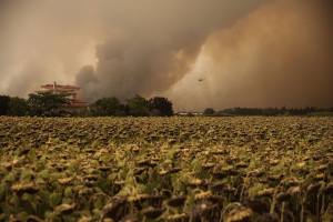 Βόρεια Εύβοια: Απειλούνται τα χωριά Γαλατσώνα, Αβγαριά, Ασμίνι – Σε κοντινή απόσταση από την Ιστιαία η φωτιά