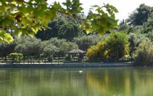 Περιφέρεια Αττικής: Το σχέδιο για το Μητροπολιτικό Πάρκο «Α. Τρίτσης»