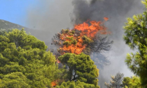 Πολύ υψηλός κίνδυνος πυρκαγιάς για αύριο Σάββατο - Συστάσεις από την Πολιτική Προστασία