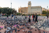 Η Βαρκελώνη αντιμετωπίζει υπερπληθυσμό περιστεριών, αρουραίων και κατσαρίδων