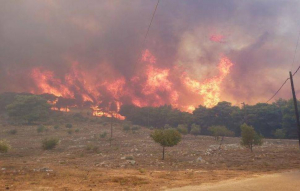 Πυρκαγιά σε δασική έκταση στην περιοχή Ροδιά της Ηλείας