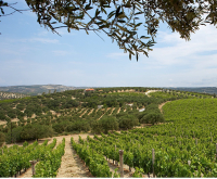 Μπουτάρης: Scalarea Estate έγινε το «Φανταξομέτοχο» και ξανασυστήνεται