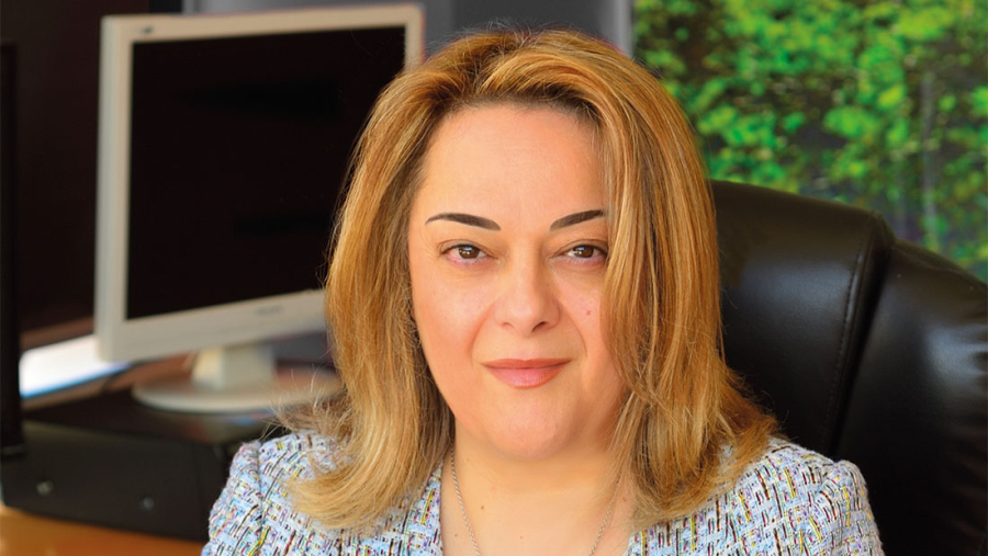 H διευθύνουσα σύμβουλος της εταιρείας“ΑΕΙΦΟΡΕΣ ΤΟΥΡΙΣΤΙΚΕΣ ΕΠΙΧΕΙΡΗΣΕΙΣ ΦΑΛΑΣΑΡΝΑ ΑΕ”, Ελένη Τσατσαρωνάκη