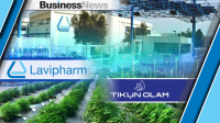Lavipharm: Αύξηση 41,3% των καθαρών κερδών το α' εξάμηνο 2026 - Άνοδος των πωλήσεων