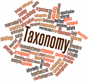 Taxonomy: Νέο σύστημα βιωσιμότητας γα επιχειρήσεις, επενδυτές, policy makers