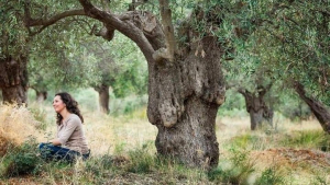 Κλιματική αλλαγή: Οι επιπτώσεις της αύξησης της θερμοκρασίας σε ορισμένες καλλιέργειες