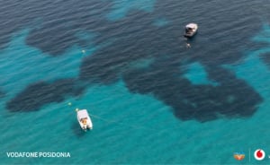 Το πρόγραμμα Vodafone Posidonia παρουσιάστηκε στην Επιτροπή Περιβάλλοντος της Βουλής