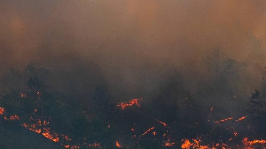 Δύσκολη νύχτα στην Πάρνηθα - Μάχη με τις αναζωπυρώσεις - Τα μέτωπα στη Βοιωτία