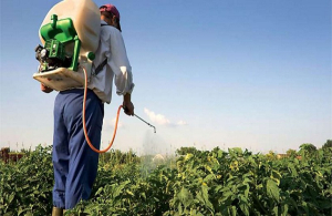 Νέα ΚΥΑ θεσπίζει στόχους ανακύκλωσης για συσκευασίες φυτοφαρμάκων