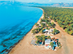 Παραλία Σχινιά: Εντοπίστηκε όλμος του Β’ Παγκοσμίου Πολέμου (vid)