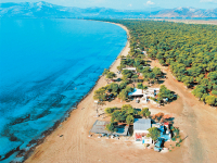 Παραλία Σχινιά: Εντοπίστηκε όλμος του Β’ Παγκοσμίου Πολέμου (vid)