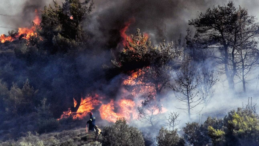 Άμφισσα: Ανεξέλεγκτη η φωτιά καίει τον ελαιώνα