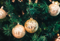 Χαλκιδική: Με τη φωταγώγηση του οκτάμετρου ελάτου στον Ταξιάρχη ξεκινά η εορταστική περίοδος των Χριστουγέννων