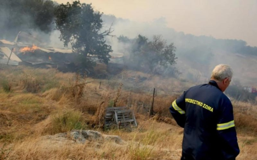 Αλεξανδρούπολη: Ξεκινούν οι αιτήσεις οικονομικής ενίσχυσης για τους πυρόπληκτους