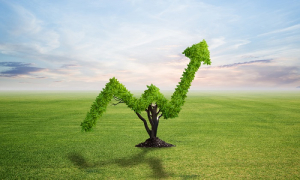 EΣΠΑ: Σημαντικό ενδιαφέρον ΜμΕ για χρηματοδότηση πράσινου μετασχηματισμού