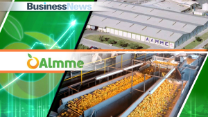 ΑΛΜΜΕ: Εντυπωσιακή άνοδος κερδοφορίας το 2024 – υπερπενταπλασιασμός κερδών και EBITDA